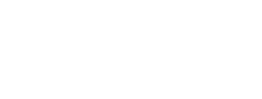 LiveMX Logo